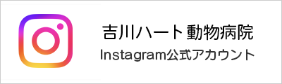 インスタ