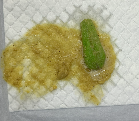 ぬいぐるみの足を食べてしまったわんちゃん